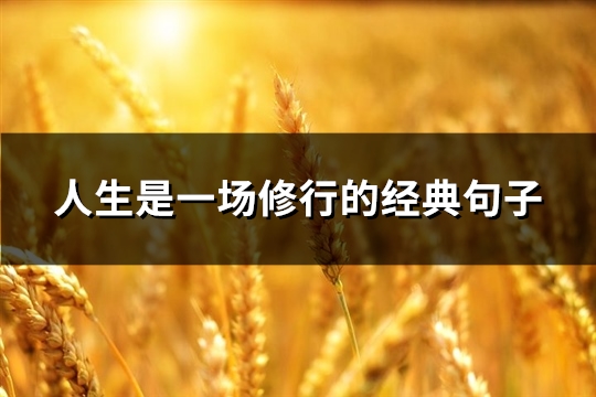 人生是一场修行的经典句子(精选81句)