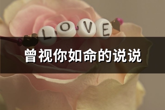 曾视你如命的说说(共32句)