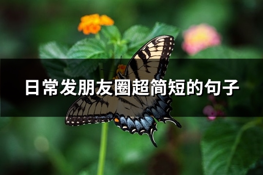 日常发朋友圈超简短的句子(共80句) 日常发朋友圈超简短的句子(共80句)