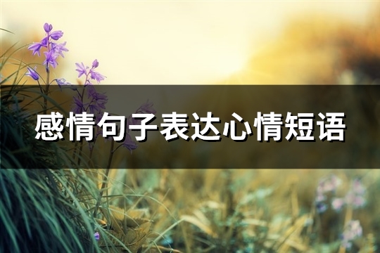 感情句子表达心情短语(优选96句)