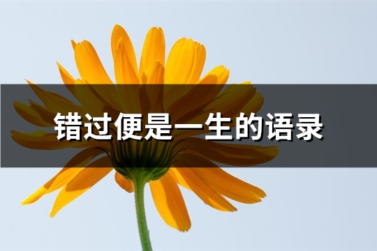 错过便是一生的语录(共80句)