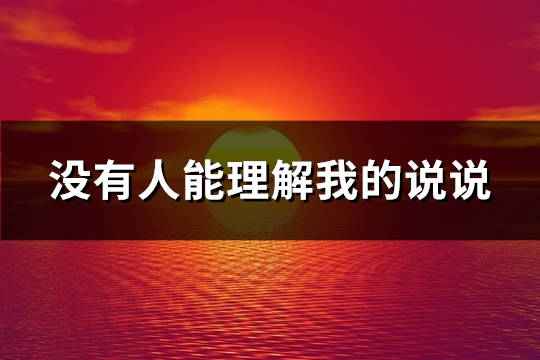 没有人能理解我的说说(共91句)