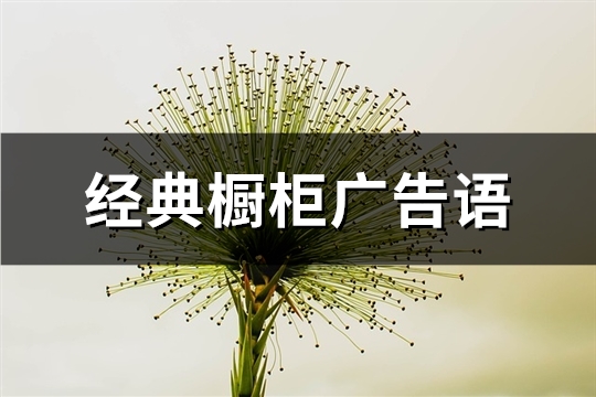 经典橱柜广告语(精选103句) 经典橱柜广告语(精选103句)