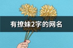 有撩妹2字的网名(199个)