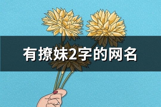 有撩妹2字的网名(199个)