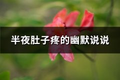 半夜肚子疼的幽默说说(96句)