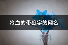 冷血的带狼字的网名(123个)
