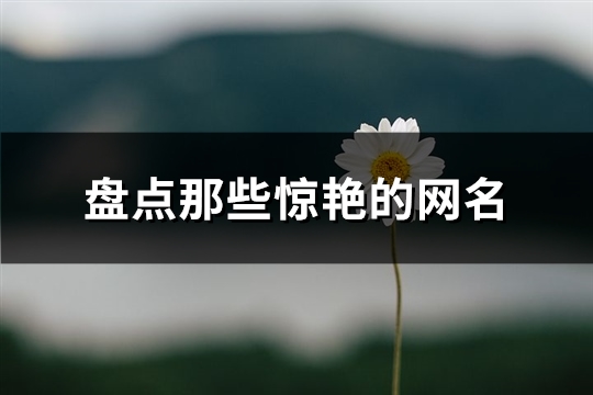 盘点那些惊艳的网名(精选158个)