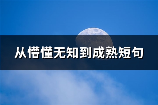 从懵懂无知到成熟短句(100句)