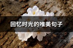 回忆时光的唯美句子(精选74句)