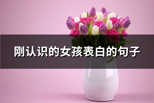 刚认识的女孩表白的句子(优选84句)