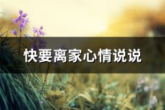 快要离家心情说说(36句)