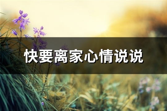 快要离家心情说说(36句)