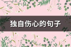 独自伤心的句子(推荐88句)