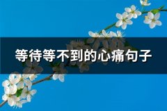等待等不到的心痛句子(精选91句)