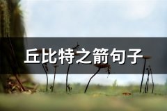 丘比特之箭句子(优选43句)