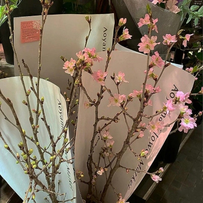 最新版唯美清晰小花朵微信头像(共16张)