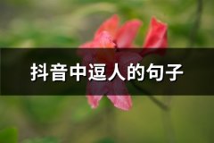 抖音中逗人的句子(精选100句)