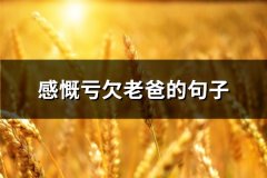 感慨亏欠老爸的句子(共73句)