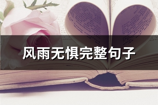 风雨无惧完整句子(优选86句)