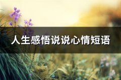 人生感悟说说心情短语(推荐80句)