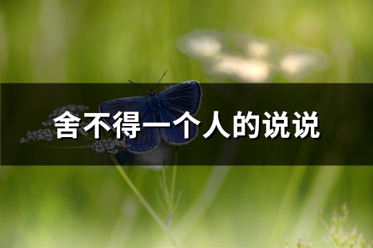舍不得一个人的说说(精选40句)
