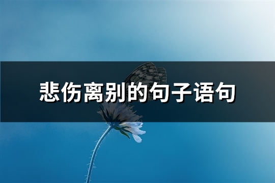 悲伤离别的句子语句(精选92句)