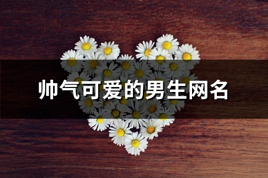 帅气可爱的男生网名(精选114个) 帅气可爱的男生网名(精选114个)