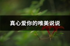 真心爱你的唯美说说(80句)