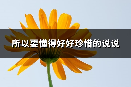 所以要懂得好好珍惜的说说(推荐50句)