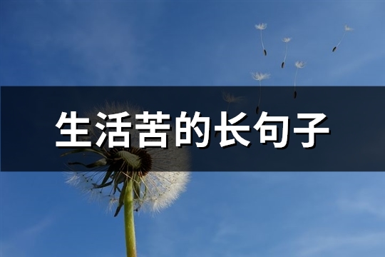 生活苦的长句子(精选94句) 生活苦的长句子(精选94句)