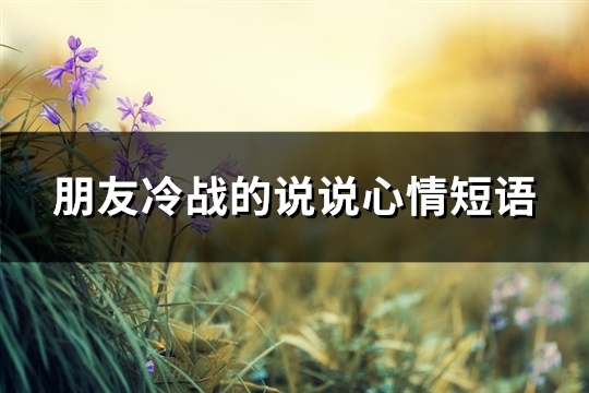 朋友冷战的说说心情短语(45句)