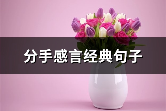 分手感言经典句子(共97句)