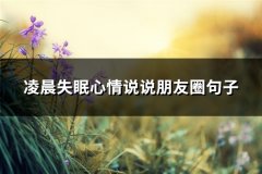 凌晨失眠心情说说朋友圈句子(优选112句)
