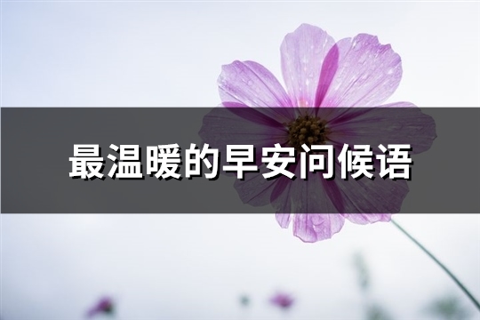 最温暖的早安问候语(精选79句)