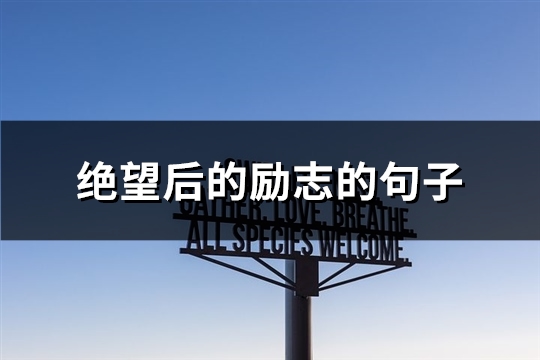 绝望后的励志的句子(95句)