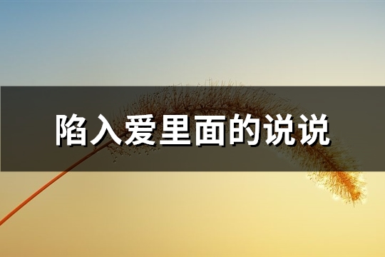 陷入爱里面的说说(101句)