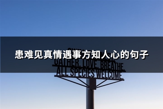 患难见真情遇事方知人心的句子(共80句)