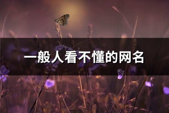 一般人看不懂的网名(144个)