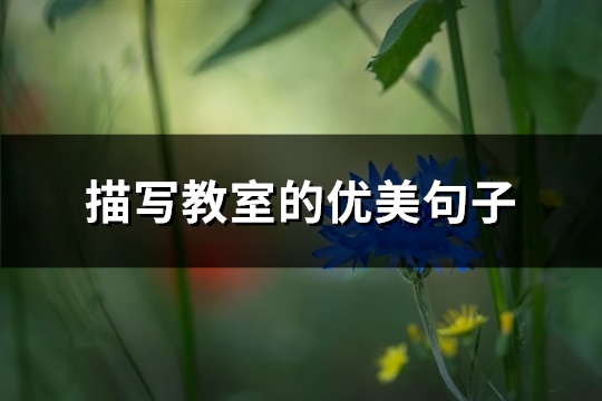 描写教室的优美句子(推荐86句)