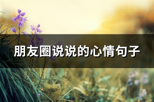 朋友圈说说的心情句子(推荐58句) 朋友圈说说的心情句子(推荐58句)