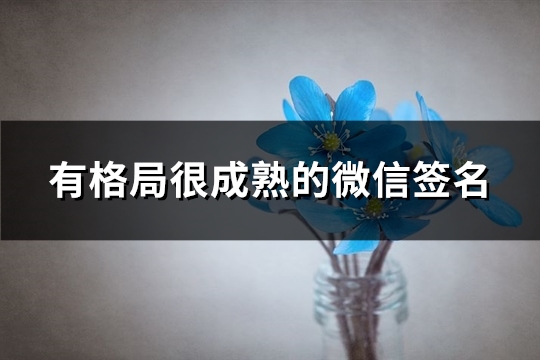 有格局很成熟的微信签名(推荐109句)