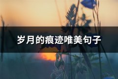 岁月的痕迹唯美句子(优选90句)