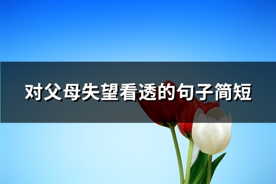 对父母失望看透的句子简短(推荐69句) 对父母失望看透的句子简短(推荐69句)