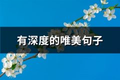 有深度的唯美句子(精选46句)