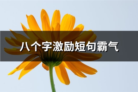 八个字激励短句霸气(优选1079句)