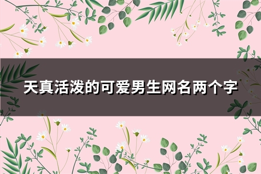 天真活泼的可爱男生网名两个字(精选176个) 天真活泼的可爱男生网名两个字(精选176个)