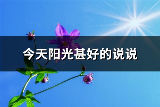 今天阳光甚好的说说(102句)