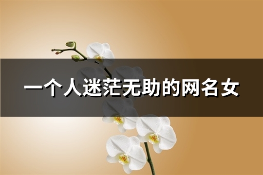 一个人迷茫无助的网名女(共93个) 一个人迷茫无助的网名女(共93个)