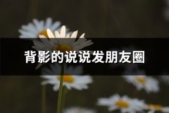 背影的说说发朋友圈(93句)